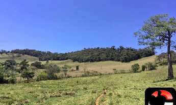 Imagem 3: FAZENDA RURAL em Itapeva - MG, Ferreiras