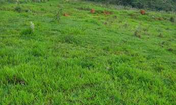 Imagem: TERRENO RURAL em Socorro - SP, Bairro Livramento