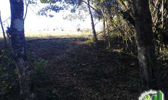 Imagem 6: TERRENO RURAL em Socorro - SP, Faria