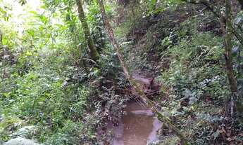 Imagem 7: TERRENO RURAL em Pedra Bela - SP, Boca da Mata
