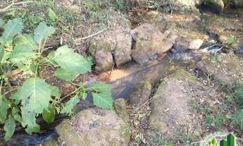 Imagem 3: TERRENO RURAL em Socorro - SP, Faria