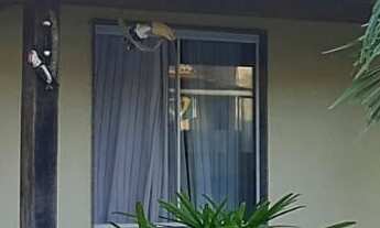 Imagem: CASA RESIDENCIAL em SAQUAREMA - RJ, MADRESSILVA