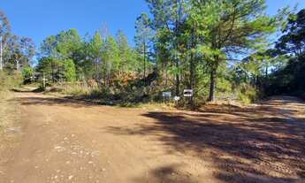 Imagem: SITIO RURAL em Canela - RS, Arroio Forquilha