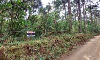 Imagem: SITIO RURAL em Canela - RS, Arroio Forquilha