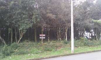 Imagem: TERRENO COMERCIAL em Canela - RS, Vila Haity