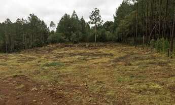 Imagem: SITIO RESIDENCIAL em Canela - RS, Banhado