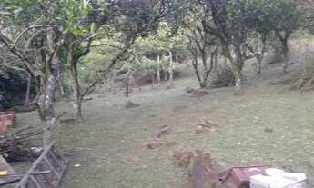 Imagem: SITIO RESIDENCIAL em Canela - RS, Passo