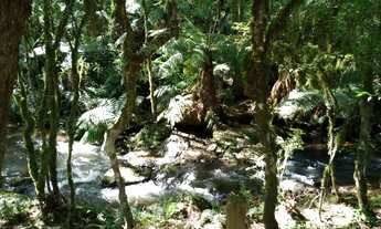 Imagem: SITIO RURAL em Gramado - RS, Serra Grande