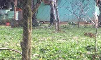 Imagem: SITIO RESIDENCIAL em São Francisco de Paula