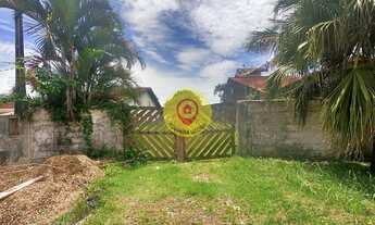 Imagem 3: Lote limpo em Boracéia