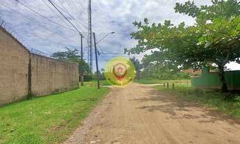 Imagem 4: Lote limpo em Boracéia