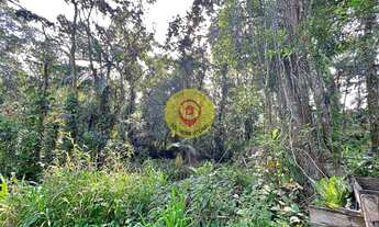 Imagem 4: Terreno em Boracéia, São Sebastião