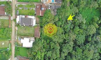 Imagem: Terreno em Boracéia, São Sebastião