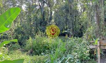 Imagem 6: Terreno em Boracéia, São Sebastião