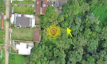 Imagem 2: Terreno em Boracéia, São Sebastião