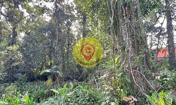 Imagem 3: Terreno em Boracéia, São Sebastião