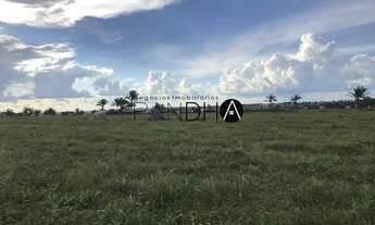 Imagem 3: Fazenda de PECUÁRIA com LAVOURA, 11.803 hectares, à venda por R$ 115.000.000 (Milhões) - M