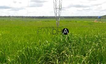 Imagem 6: Fazenda de AGRICULTURA (LAVOURA) e PECUÁRIA, 4.007 hectares, (duas fazendas juntas) à vend