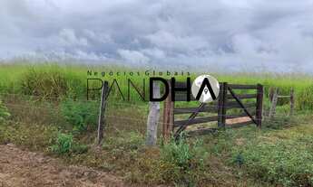 Imagem: Fazenda de Dupla Aptidão - AGRICULTURA