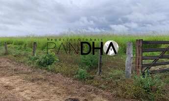 Imagem 2: Fazenda de Dupla Aptidão - AGRICULTURA (LAVOURA/GRÃOS/SOJA/CANA) e PECUÁRIA, 315 Alqueires