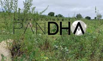 Imagem 3: Fazenda de Dupla Aptidão - AGRICULTURA (LAVOURA/GRÃOS/SOJA/CANA) e PECUÁRIA, 315 Alqueires