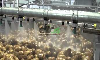 Imagem: INDÚSTRIA DE ALIMENTOS Arroz, Feijão