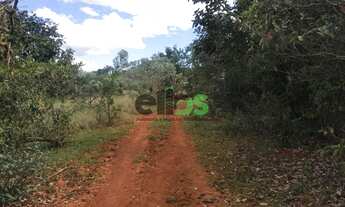 Imagem: Fazenda de Dupla Aptidão JUQUIRADA