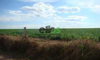 Imagem 5: Fazenda Dupla Aptidão - AGRICULTURA (LAVOURA/GRÃOS/SOJA) e PECUÁRIA, 25.000 hectares, à ve