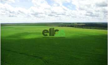 Imagem: Fazenda Dupla Aptidão - AGRICULTURA (LAVOURA/GRÃOS/SOJA)