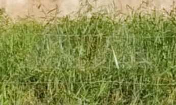 Imagem: TERRENO À VENDA COM 281m², R$380.000,00