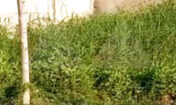 Imagem 2: TERRENO À VENDA COM 281m², R$380.000,00, BAIRRO ITAJUBA, BARRA VELHA, SANTA CATARINA