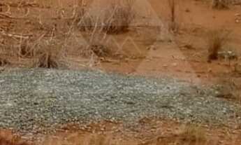 Imagem: TERRENO À VENDA COM 349m², R$250.000,00