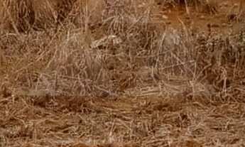 Imagem 3: TERRENO À VENDA COM 349m², R$250.000,00, BAIRRO QUINTA DOS AÇORIANOS, BARRA VELHA, SANTA C