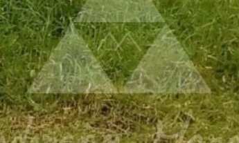 Imagem 3: TERRENO À VENDA COM 300m², R$250.000,00, BAIRRO ITAJUBA, BARRA VELHA, SANTA CATARINA