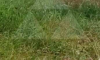 Imagem: TERRENO À VENDA COM 300m², R$185.000,00