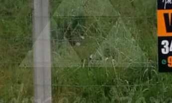 Imagem 3: TERRENO À VENDA COM 280m², R$280.000,00, BAIRRO LOS ANGELES, BARRA VELHA, SANTA CATARINA