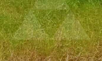 Imagem 7: TERRENO À VENDA COM 300m², R$180.000,00, BAIRRO ITAJUBA, BARRA VELHA, SANTA CATARINA