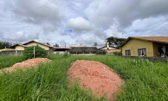 Imagem 2: TERRENO À VENDA COM 320.000m², R$300.000,00, BAIRRO LOS ANGELES, BARRA VELHA, SANTA CATARI