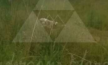 Imagem 2: TERRENO À VENDA COM 348m², R$180.000,00 - BAIRRO QUINTA DOS AÇORIANOS - BARRA VELHA - SANT