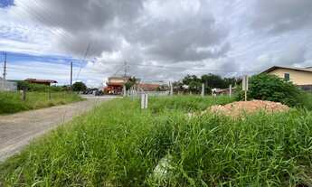 Imagem 6: TERRENO À VENDA COM 320.000m², R$300.000,00, BAIRRO LOS ANGELES, BARRA VELHA, SANTA CATARI