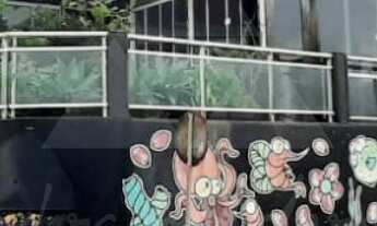 Imagem 7: ÁREA À VENDA COM 660m², R$6.500.000,00, BAIRRO TABULEIRO, BARRA VELHA, SANTA CATARINA