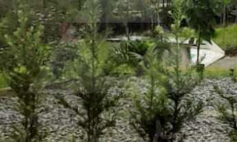 Imagem 6: CHÁCARA A VENDA COM 4 DORMITÓRIOS E PISCINA, 130m², R$900.000,00 NO BAIRRO RIO NOVO, BARRA