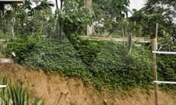 Imagem 4: CHÁCARA A VENDA COM 4 DORMITÓRIOS E PISCINA, 130m², R$900.000,00 NO BAIRRO RIO NOVO, BARRA