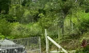 Imagem 5: CHÁCARA A VENDA COM 4 DORMITÓRIOS E PISCINA, 130m², R$900.000,00 NO BAIRRO RIO NOVO, BARRA