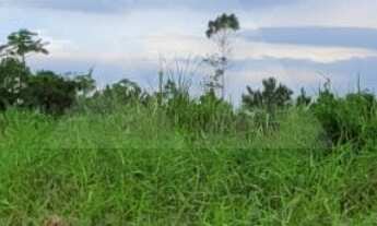 Imagem: TERRENO À VENDA COM 300m², R$200.000,00