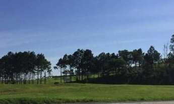 Imagem: Área, 10900 m² - venda por R$ 3.900.000,00