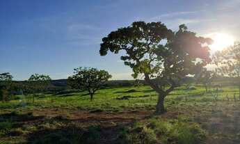 Imagem 7: Fazenda à venda, 6000000 m² por R$ 8.100.000,00 - Zona Rural - Itiquira/MT