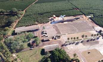 Imagem: Fazenda à venda Por R$ 110.000.000 - Zona