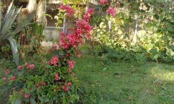 Imagem 6: Chácara com 11 dormitórios, 8000 m² - venda por R$ 2.450.000 ou aluguel por R$ 12.000/mês