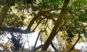 Imagem 2: Fazenda à venda por R$ 54.000.000 - Jardim América - Tatuí/SP